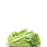 product13-free-img-230x300.jpg